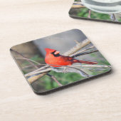 Kardinal Wappen Getränkeuntersetzer (Linke Seite)