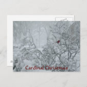 Kardinal Weihnachten (Vorne/Hinten)