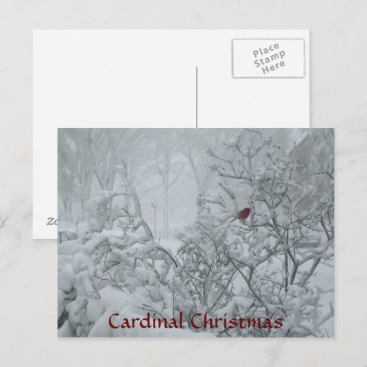 Kardinal Weihnachten (Vorne/Hinten)