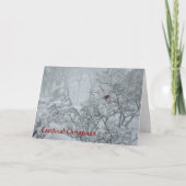 Kardinal Weihnachten (Vorderseite)