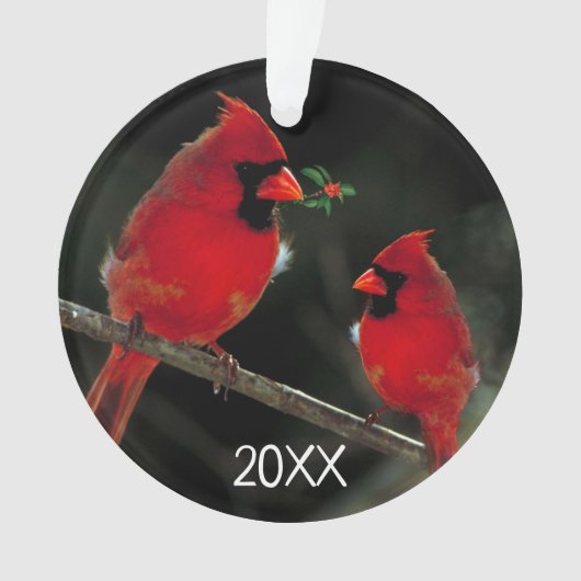 Kardinal Weihnachten - Akrylorische Ornamente (Vorderseite)