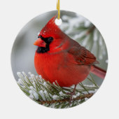 Kardinal Weihnachtsschmuck (Hinten)