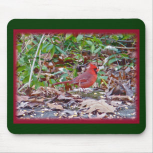 Kardinal Wild Songbird Serie Mousepad