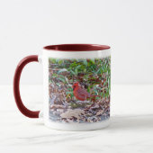 Kardinal Wild Songbird Serie Tasse (Links)