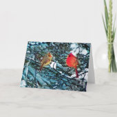 Kardinal Winter Liebe, Karten (Vorderseite)