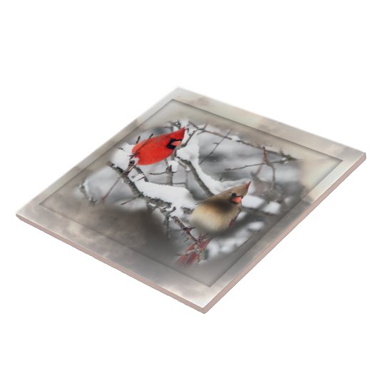Kardinal Winterzeitsnadel Fliese (Seite)