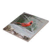 Kardinal Woodland Fliese (Seite)