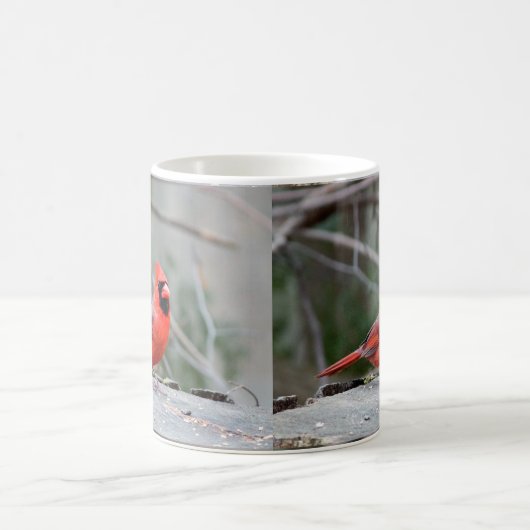 Kardinal Woodland Kaffeetasse (Mittel)