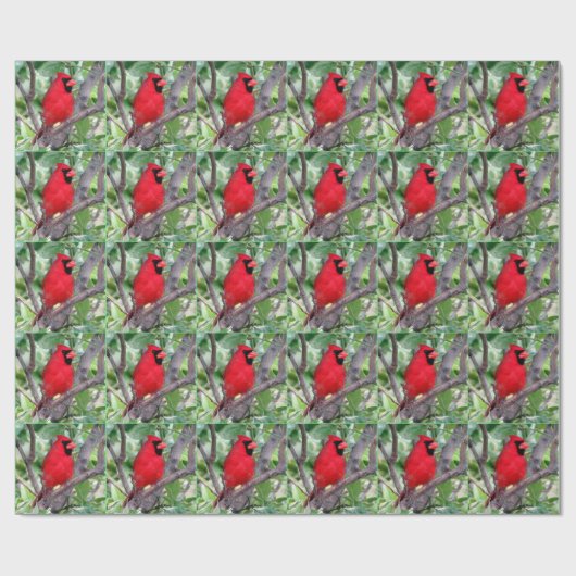 Kardinal Wrapping Paper Geschenkpapier (Flach)