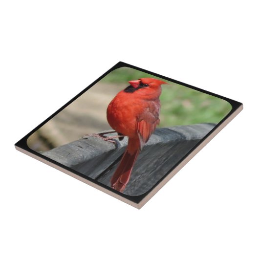 KARDINAL ZU ZENTRUM-2 FLIESE (Seite)