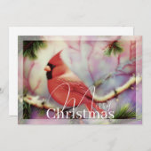 Kardinal zum Winterhaushalt Weihnachten (Vorne/Hinten)