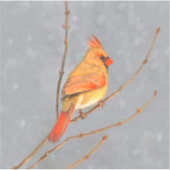 Kardinal zur Zweigmalerei - Originale Vogelkunst Aufkleber (Vorderseite)