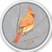 Kardinal zur Zweigmalerei - Originale Vogelkunst Aufkleber (Vorderseite)