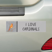 Kardinal zur Zweigmalerei - Originale Vogelkunst Autoaufkleber (Auf Auto)