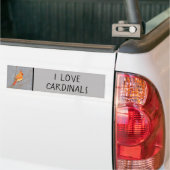 Kardinal zur Zweigmalerei - Originale Vogelkunst Autoaufkleber (Auf Lkw)