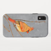 Kardinal zur Zweigmalerei - Originale Vogelkunst Case-Mate iPhone Hülle (Rückseite (Horizontal))