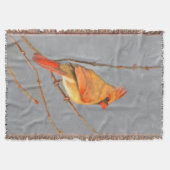 Kardinal zur Zweigmalerei - Originale Vogelkunst Decke (Vorderseite)