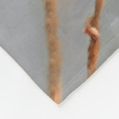 Kardinal zur Zweigmalerei - Originale Vogelkunst Fleecedecke (Ecke)