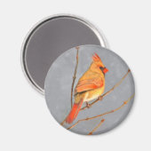 Kardinal zur Zweigmalerei - Originale Vogelkunst Magnet (Vorderseite/Rückseite)