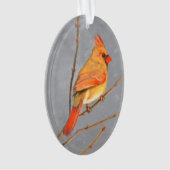 Kardinal zur Zweigmalerei - Originale Vogelkunst Ornament (Vorderseite)