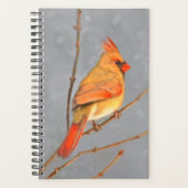 Kardinal zur Zweigmalerei - Originale Vogelkunst Planer (Vorderseite)
