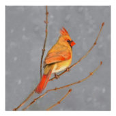 Kardinal zur Zweigmalerei - Originale Vogelkunst Poster (Vorderseite)