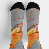 Kardinal zur Zweigmalerei - Originale Vogelkunst Socken (Oben)
