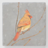 Kardinal zur Zweigmalerei - Originale Vogelkunst Steinuntersetzer (Vorderseite)