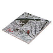 Kardinal zwischen verschneiten Zweigen Fliese (Seite)