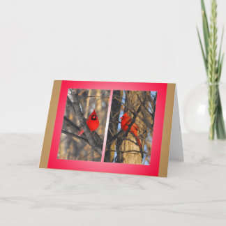 Kardinäle an einem "klaren" Winter-Morgen Feiertagskarte