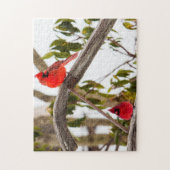 Kardinäle bringen Farbe ins Winter Puzzle (Vertikal)