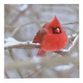 Kardinäle_Foto_Würfel Würfel (Vorderseite)