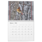 Kardinäle für jeden Monat 2016 können Jahr ändern Kalender (Feb 2026)