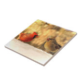 Kardinäle in der Herbst-Keramik-Fliese Fliese (Seite)