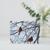 Kardinäle in einem Baum Postkarte (Stehend Vorderseite)