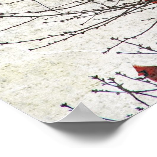 Kardinäle in einer Baumgrunge Poster (Ecke)