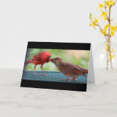 Kardinäle Karte (Gelbe Blume)