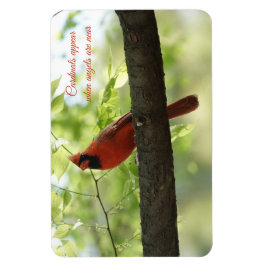 Kardinäle tauchen auf, wenn Engel in der Nähe sind Magnet