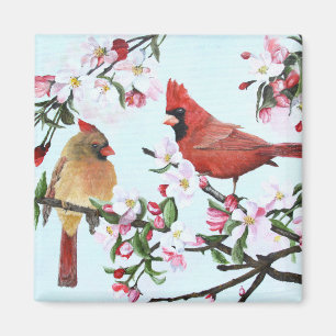 Kardinäle und Apple-Blüten Magnet
