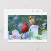 Kardinäle und Weihnachtsbeleuchtung Feiertagspostkarte (Vorne/Hinten)