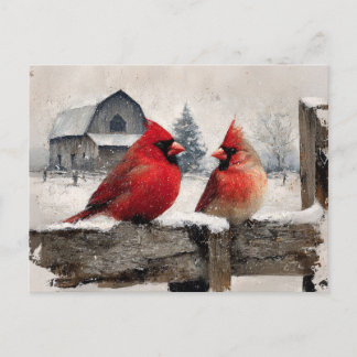 Kardinale Vintage Farm Postkarte