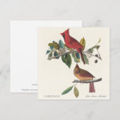 Kardinale von John James Audubon (Vorne/Hinten)