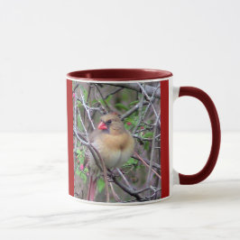 Kardinäle von Männern und Frauen (Frühjahr) Tasse