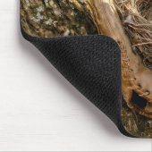 Kardinalnest in einem Baseballhandschuh Mousepad (Ecke)