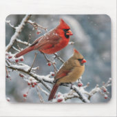 Kardinalpaar auf winterlichem Ast Mousepad (Vorne)