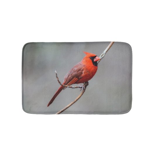 Kardinals-Bad-Matte Badematte (Vorderseite)