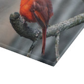 Kardinals-dekoratives Glasschneiden-Brett Schneidebrett (Ecke)