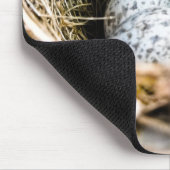 Kardinals-Ei Mousepad (Ecke)