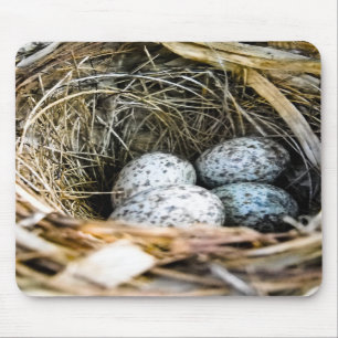 Kardinals-Ei Mousepad