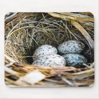 Kardinals-Ei Mousepad